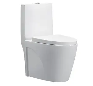 American Standard UPC Modern Europe Style Gravity Flushing White Dual Flush Toilet Siphonic 1 Piece Toilet