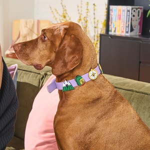 Collar de perro de PVC impermeable de diseño moderno para gatos al por mayor con dijes de decoración intercambiables - Product Image 5