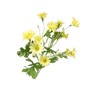 Fleurs de marguerite artificielles Mishu Crafts en soie, faites à la main, pour décorations de mariage et de maison - Product Image 2