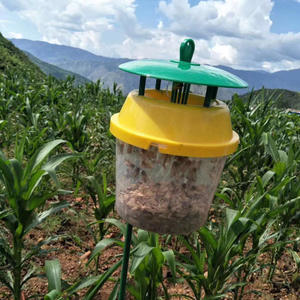 Feromona Sexual para Spodoptera Frugiperda, Atrayente FAW, Control de Gusano de las Hojas del Maíz, Cebo para Gusano del Ejército de Otoño - Product Image 5