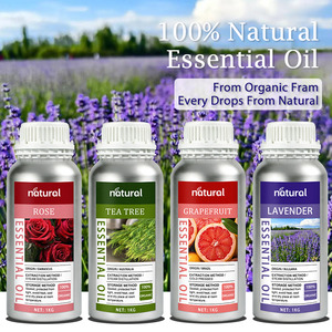 Minyak Esensial Mawar Damaskus <span class=keywords><strong>100</strong></span>% Murni Alami Grosir, Minyak Bunga Mawar untuk Aromaterapi, Perawatan Kulit, dan Parfum - Product Image 3