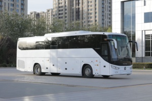 Giá 12 Meter 50 60 70 seatsluxury HLV vận chuyển hành khách tour du lịch thành phố xe buýt - Product Image 5