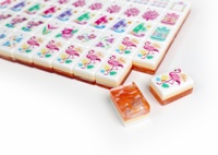 Set Mahjong Akrilik 3 Lapis, 160 Buah, Lengkap, Grosir untuk Permainan di Rumah