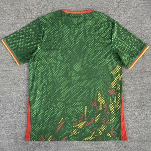 アフリカネイションズカップ カメルーン代表 サッカーユニフォーム 26-27 選手バージョン ホーム/アウェイ ガーメントダイ 100% ポリエステル ストレッチ ユニセックス スポーツトップ - Product Image 3