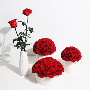 <span class=keywords><strong>Vaso</strong></span> <span class=keywords><strong>in</strong></span> Ceramica Personalizzato con Rose Rosse Preservate e Steli Veri per Natale, Ringraziamento, Capodanno e Altre Occasioni - Product Image 2