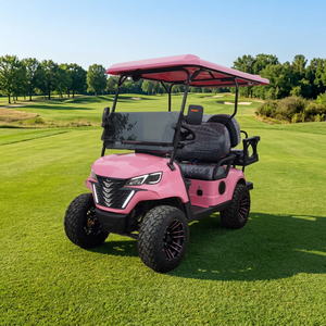 Voiturette de golf rose à 4 places, homologuée pour la route, entretien facile, pour les parcs, les attractions touristiques, les terrains de golf, les centres d'exposition - Product Image 4
