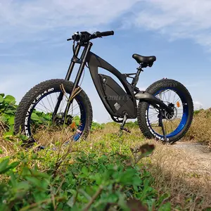 Yüksek standart 48V 1000W 15000W 18AH güçlü motor elektrikli bisiklet incelemesi orta sürücü ebike el bisiklet