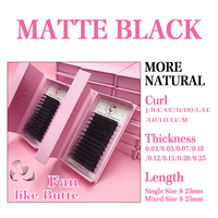 Plateaux de Cils en Velours de Soie Noir Mat Cachemire, Volume Moelleux, Extensions de Cils Faux Vison Cachemire