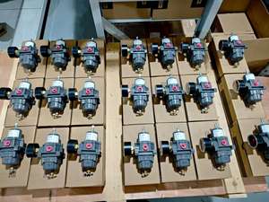 Vannes de régulation chinoises DVC2000 et 67CFR-237 67CF-1663-38512 67CFR-239 67CF-1663-38550 Régulateur-filtre - Product Image 4