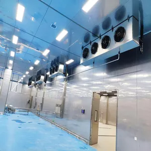 Mini-mobiles Kühlraumaufbewahrungsgebäude 150 mm dicke Paneele für Rindfleisch- und Lebensmittelgeschäftsgebrauch zuhause