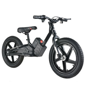 Bicicleta Eléctrica de Equilibrio de Aleación de Aluminio de 16 Pulgadas con Precisión de Fábrica para Niños, Batería Extraíble, Radios Coloridos, Motor de 250W, Alcance de 20 km/h - Product Image 1