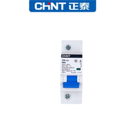 Disjoncteur CHINT NXB-125 1P DC 1000V MCB 100A 80A Courbe D Matériau PA66 Capacité de coupure 10kA Protection Li Montage sur rail