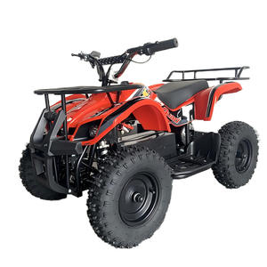 Buggy Eléctrico Infantil de 36V/800W para Exteriores, Todoterreno, con Transmisión por Cadena, Frenos de Disco, 25km/h, Certificado CE, para <span class=keywords><strong>Alquiler</strong></span> Comercial en Parques - Product Image 2