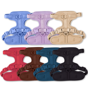 Venta al por mayor de arneses para perros de lujo Biothean impermeable de PVC collar de mascotas Correa conjunto ajustable de diseñador personalizado arnés para perros - Product Image 3
