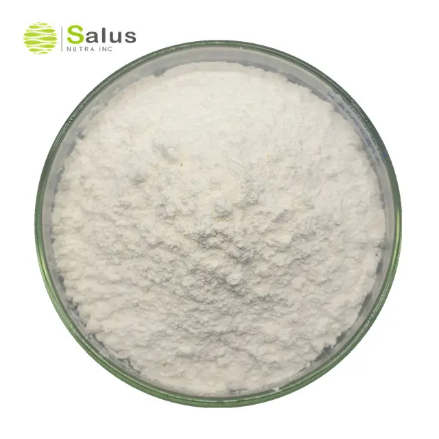 Extracto de raíz de regaliz al por mayor SALUS 40% polvo de glabridina
