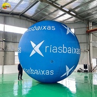 Ballon gonflable de ballon de décoration de fête de prix bon marché de grande taille pour la publicité