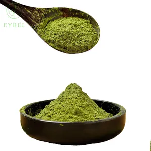 Großhandel Matcha Tee pulver Gesundheit zertifiziertes Grüntee Pulver mit guter Qualität