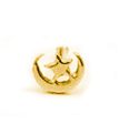 14 pièces d'or