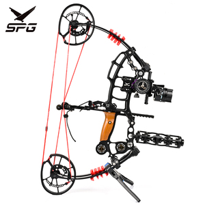 Kit 12 Pointes De Flèche + 12 Têtes Larges Pour Chasse à L'arc – D&Q – Neuf