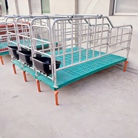 Nouveau système de colonnes de cages de gestation pour truies de type H galvanisé avec barre de positionnement pour élevages porcins
