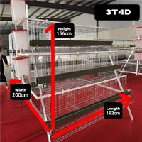 Jaula para pollos de tipo A con niveles escalonados, de alambre de zinc, aluminio y magnesio, gallinero de capacidad personalizada para granjas avícolas en África