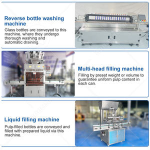 Máquina Peladora y Cortadora Industrial OCEAN para Frutas Enlatadas, Línea de Producción Automática de Piña Enlatada - Product Image 4