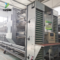Cage à étages de type H à 3-8 niveaux |   pour les fermes avicoles 20K-Bird |   Élimination automatique du fumier, alimentation et collecte des œufs