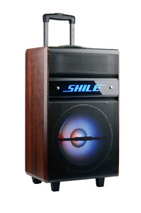 Màu Xanh Răng USB Xách Tay 50W 10Inch PA Ngoài Trời Pin Hoạt Động Xe Đẩy Loa Di Động Hệ Thống Âm Thanh Chuyên Nghiệp Âm Thanh - Product Image 5