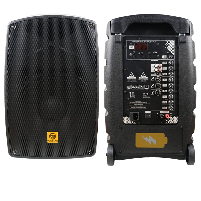 NEW !PXK15-DM100G2U7 Active Loudspeaker 15 Inch Plastic Speakers Audio  Powered Speaker