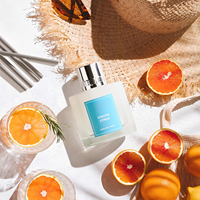 Diffuseur de parfum sur mesure OEM ODM Agrumes Côtiers 100ml Collier Argenté Parfum d'ambiance Vente en gros Longue Durée Élégant