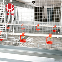 Sistema de Jaulas para Pollos Tipo H de Acero Galvanizado, Marca YiFeng, Nuevo, Directo de Fábrica, Precio Competitivo para Producción Avícola en África