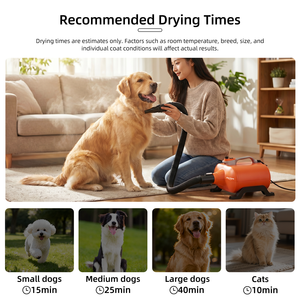 เครื่องเป่าขนสัตว์เลี้ยง <span class=keywords><strong>Shernbao</strong></span> DHD-2400F/3000F Typhoon Pet Supplies แบบมอเตอร์คู่ สำหรับสุนัขและแมว - Product Image 4