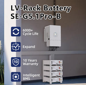 Batería de Iones de Litio LiFePO4 Deye <span class=keywords><strong>ESS</strong></span> SE-G5.1 Pro-B 51.2V 100AH 5.12kWh para Almacenamiento Solar Doméstico y Certificados ICE, Garantía de 10 Años - Product Image 5