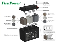 Batería Recargable de Plomo-Ácido Libre de Mantenimiento FirstPower FP6200 6V20Ah para UPS, Vehículos Eléctricos y Equipos Médicos