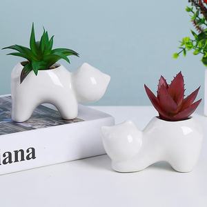Pot de fleurs en céramique écologique <span class=keywords><strong>pour</strong></span> chat, <span class=keywords><strong>pour</strong></span> la décoration de la maison et du jardin, pot à succulentes en porcelaine <span class=keywords><strong>pour</strong></span> chat, vente en gros - Product Image 1