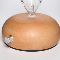 Diffuseur d'arômes à ions négatifs à double commande indépendante à fumée légère Machine d'aromathérapie en verre Humidificateur 25 ml Alimenté par USB