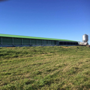 Nouveau design à faible coût construction agricole structure en acier ferme avicole plan de poulailler à vendre - Product Image 2