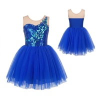 Robe tutu sans manches bleu roi à sequins floraux pour filles, col en maille, jupe en tulle multicouche pour la danse lyrique et la scène
