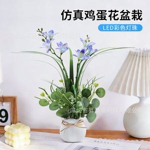 <b>Led</b> Flower Night <b>Light</b> Warm White <b>Led</b> Indoor Decorative Table Lamp With Tap Control Round Shape <b>Usb</b> Powered - Product Image 4