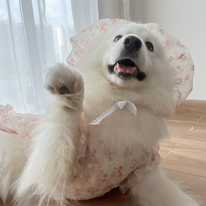 Floral <strong>Dog</strong> <strong>Clothes</strong> Spring Autumn Winter Anti Shedding <strong>Labrador</strong> Samoyed Husky Border Collie Shiba Inu Medium Large <strong>Dogs</strong> - Product Image 1