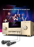 Yüksek kalite 5.1 yüksek güç ev sineması amplifikatör 8K yüksek çözünürlüklü surround ses amplifikatörü karaoke mavi-diş amplifikatör