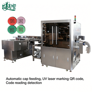 Automatic UV <b>Laser</b> Marking <b>All</b>-<b>in</b>-<b>One</b> Machine with Feeding Sorting Vision Inspection & Auto Rejection for Plastic Bottle Caps - Product Image 4