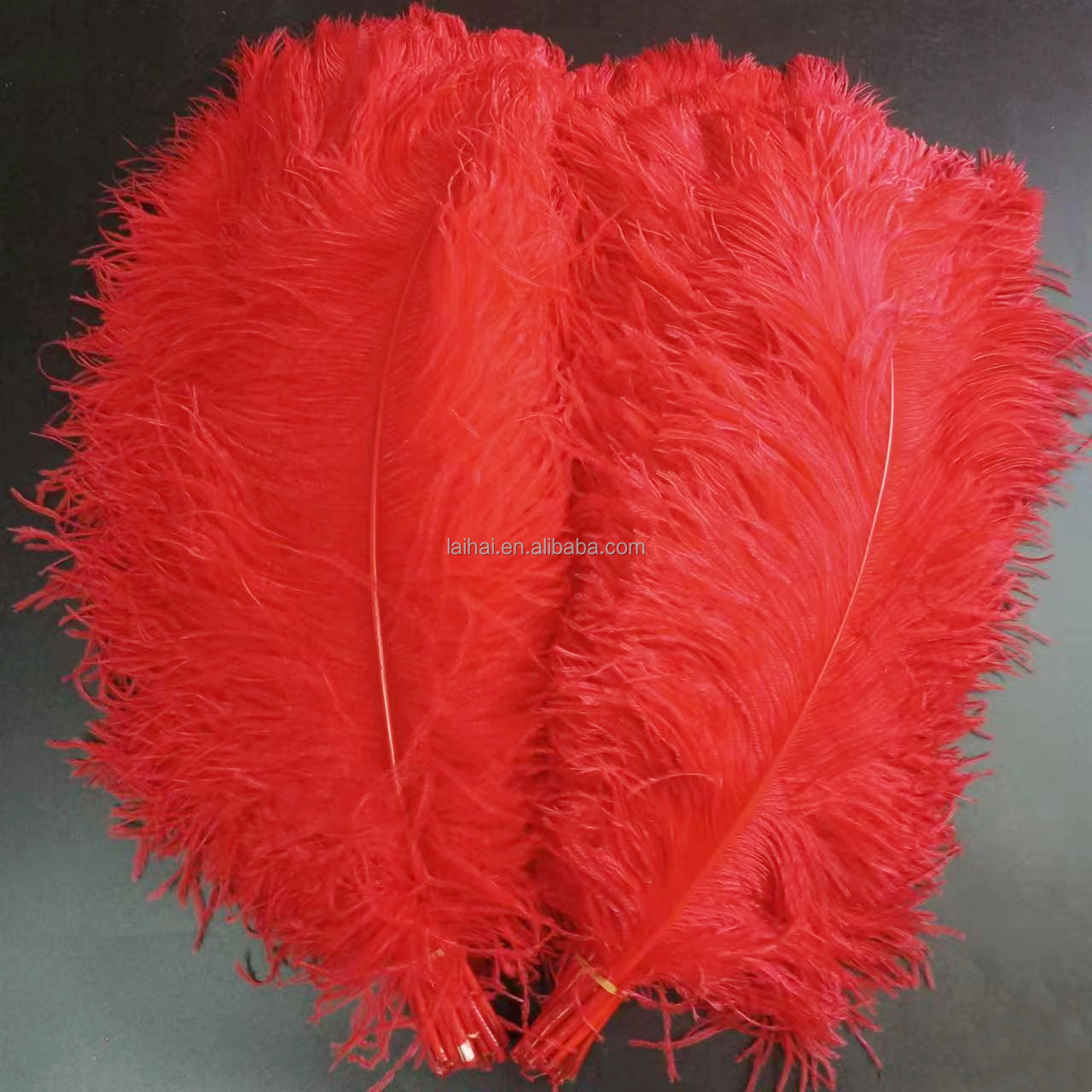 Piume di STRUZZO PIUME 23-30 in oltre 40 colori diversi per centrotavola di nozze, composizioni floreali per feste, fai da te, costumi di Halloween - Italia
