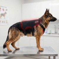 Attelle de thérapie par lumière rouge professionnelle pour animaux de compagnie, enveloppement infrarouge pour le dos des chiens et des chats, soin par luminothérapie rouge pour animaux.