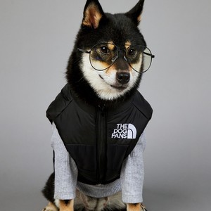 ZHONGYA Accesorios para Mascotas, Abrigo Impermeable Premium para Perro, Color Sólido, Diseño Deportivo Moderno, Ropa para Mascotas para Todas las Estaciones, Suministros para Perros - Product Image 6