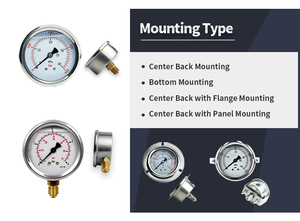 Manufacturer High Quality <strong>Pressure</strong> <strong>Gauge</strong> for Sale - Product Image 6