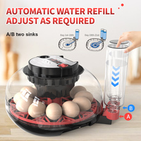 WONEGG Nouvelle Tendance Incubateur Solaire Automatique 12 Œufs avec Fenêtre Transparente à Dubaï Prix Compétitif