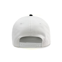 Vente entière 5 panneau requin personnalisé personnalisable casquette de baseball chapeaux