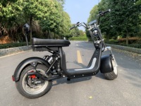 Avrupa Depo Şehri Coco E-Scooter Büyük Tekerlekli Çıkarılabilir Bataryalı Elektrikli İki Tekerlekli Araç