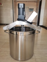 Mélangeur automatique en gros personnalisé, marmite de cuisson, mélangeur de sauce chili, autres machines de traitement